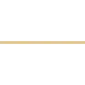 gold accent line graphic