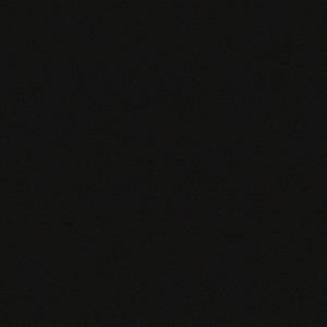 spyder cutout logo blbg